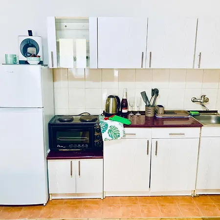 Rose Νόβι Σαντ