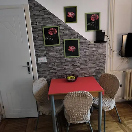 Διαμέρισμα Rose Νόβι Σαντ