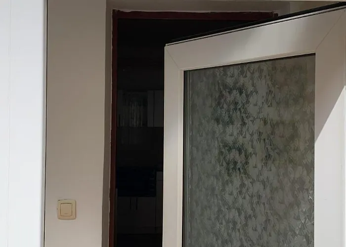 Rose נובי סאד